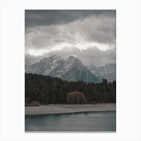 Forest Along Lake Canvas Print