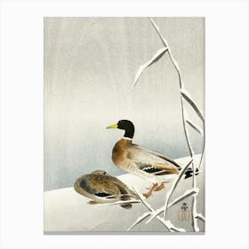 Two Ducks On Snowy Reed (1900 1930), Ohara Koson Canvas Print