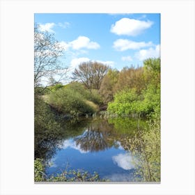 Reflection in a Pond Canvas Print