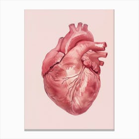 Pink Heart Canvas Print