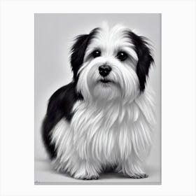 Havanese B&W Pencil dog Canvas Print