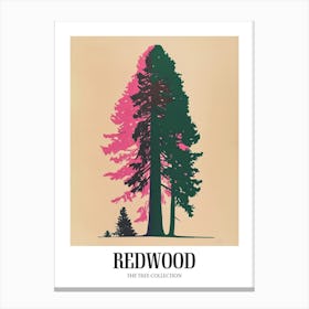Redwood Tree Colourful Illustration 4 Poster Canvas Print