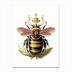 Queen Bee 1 Vintage Canvas Print