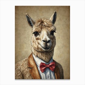 Llama 19 Canvas Print