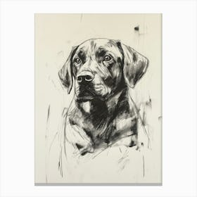 Labrador Retriever Dog Canvas Print