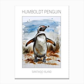 Humboldt Penguin Santiago Island Watercolour Painting 3 Poster Canvas Print