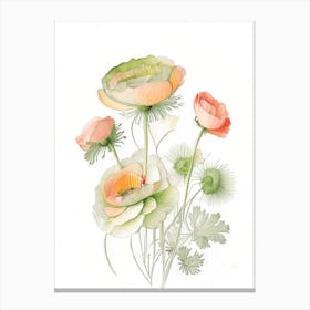 Ranunculus Floral Quentin Blake Inspired Illustration 1 Flower Canvas Print