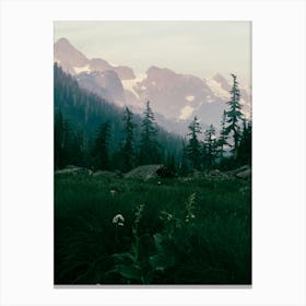 North Cascades Canvas Print