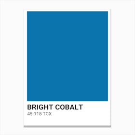 Bright Cobalt Canvas Print