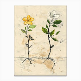 Two Flowers With Roots Canvas Print