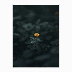 Flower In The Dark 48 Canvas Print