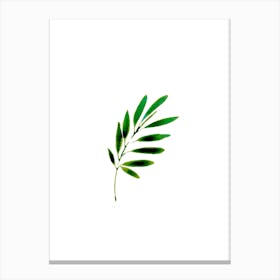 Green Painted Plant Canvas Print