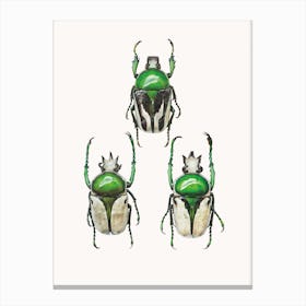 Insects IV Canvas Print