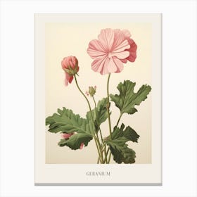 Floral Illustration Geranium 2 Poster Canvas Print