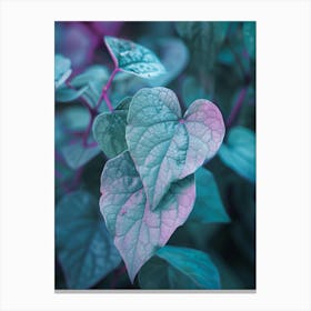 Heart Shaped Leaves Canvas Print