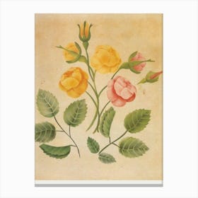 Roses Canvas Print