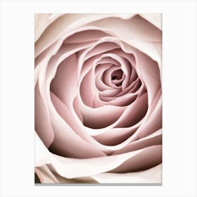Pink Rose Petal Bright_2066827 Canvas Print