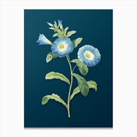 Vintage Field Bindweed Botanical Art on Teal Blue n.0417 Canvas Print