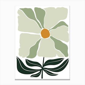 Daffodil Canvas Print