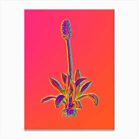 Neon Swamp Pink Botanical in Hot Pink and Electric Blue n.0262 Canvas Print