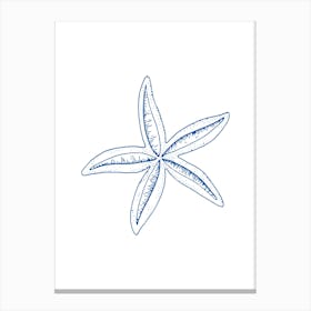 Starfish 2 Canvas Print