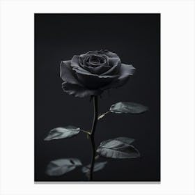 Black Rose 12 Canvas Print