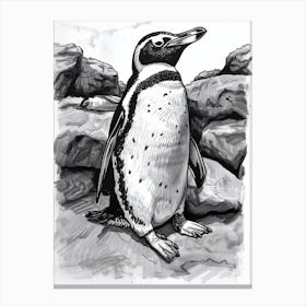 King Penguin Sunbathing On Rocks 2 Canvas Print