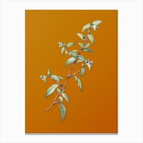 Vintage Birdbill Dayflower Botanical on Sunset Orange n.0775 Canvas Print