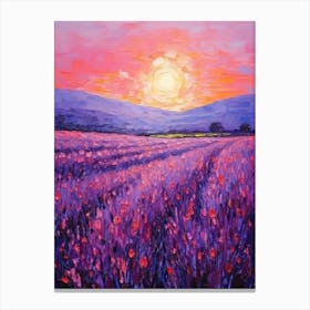 Sunset In Lavender Field Canvas Print