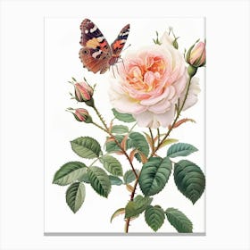 English Roses Painting Rose With Butterfly 4 Canvas Print