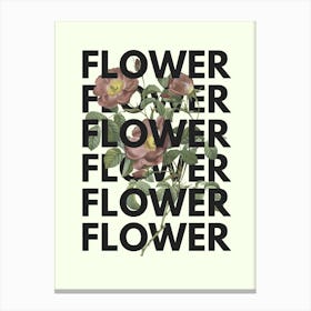 Flower Flower Canvas Print