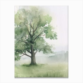 Ash Tree Atmospheric Watercolour Painting 3 Canvas Print