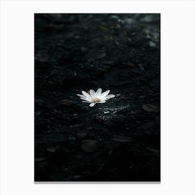 Lotus Flower 32 Canvas Print