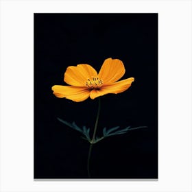 Single Yellow Flower 6 Canvas Print