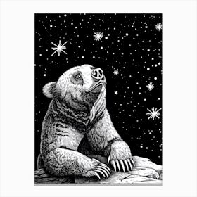 Malayan Sun Bear Looking At A Starry Sky Ink Illustration 4 Canvas Print