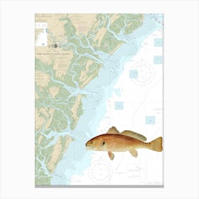 Vintage New York Fish and Game - Denton Redfish On Tybee Island To Doboy Sound Chart 11509 Canvas Print