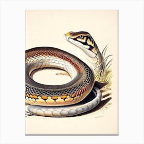 Monocled Cobra Snake Vintage Canvas Print