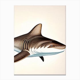 Port Jackson 3 Shark Vintage Canvas Print