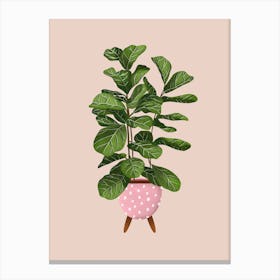 Ficus Lyrata On Beige Canvas Print