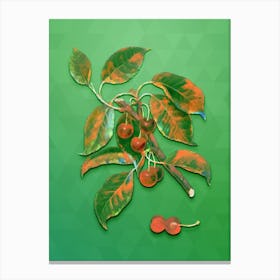 Vintage Sour Cherry Botanical Art on Classic Green n.1251 Canvas Print