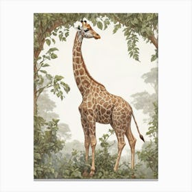 Vintage Giraffe Illustration Canvas Print