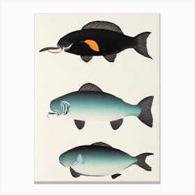 Dugong Vintage Poster Canvas Print