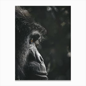 Gorilla Canvas Print