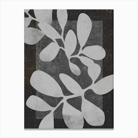 Floral x Ray Canvas Print