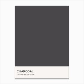 Charcoal Colour Block Poster Canvas Print