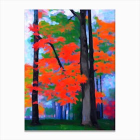 Sugar Maple Tree Cubist Canvas Print
