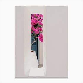 Flowers In Window Canvas Print