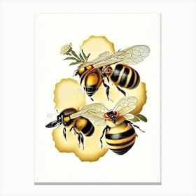 Wax Bees 2 Vintage Canvas Print