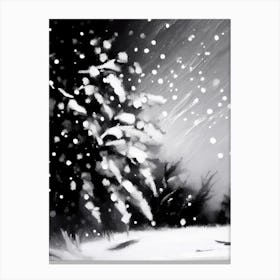 Cold, Snowflakes, Black & White 1 Canvas Print
