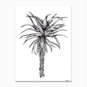 Black and White Aloe Canvas Print